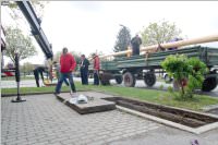 Maibaum der FF Neufeld, 02.05.2015