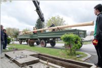 Maibaum der FF Neufeld, 02.05.2015