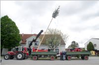 Maibaum der FF Neufeld, 02.05.2015