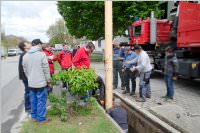 Maibaum der FF Neufeld, 02.05.2015