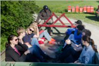 Maibaum der FF Neufeld, 21.05.2016