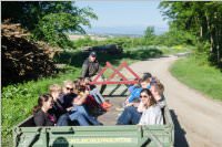 Maibaum der FF Neufeld, 21.05.2016