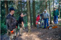 Maibaum der FF Neufeld, 21.05.2016