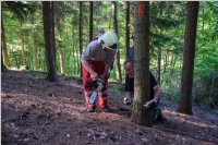 Maibaum der FF Neufeld, 21.05.2016