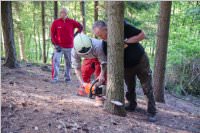 Maibaum der FF Neufeld, 21.05.2016