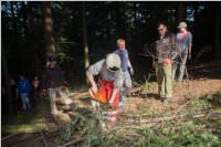 Maibaum der FF Neufeld, 21.05.2016