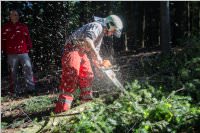 Maibaum der FF Neufeld, 21.05.2016