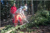 Maibaum der FF Neufeld, 21.05.2016