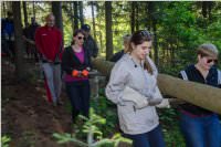 Maibaum der FF Neufeld, 21.05.2016