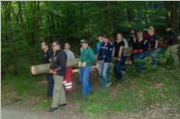 Maibaum der FF Neufeld, 21.05.2016