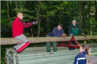 Maibaum der FF Neufeld, 21.05.2016