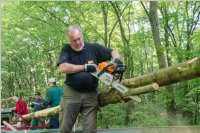 Maibaum der FF Neufeld, 21.05.2016