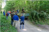 Maibaum der FF Neufeld, 21.05.2016