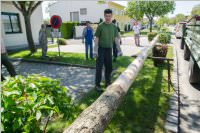 Maibaum der FF Neufeld, 21.05.2016