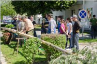 Maibaum der FF Neufeld, 21.05.2016