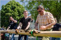 Maibaum der FF Neufeld, 21.05.2016