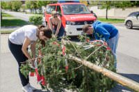Maibaum der FF Neufeld, 21.05.2016