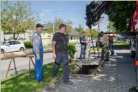 Maibaum der FF Neufeld, 21.05.2016