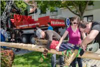 Maibaum der FF Neufeld, 21.05.2016