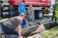 Maibaum der FF Neufeld, 21.05.2016