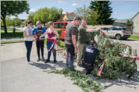 Maibaum der FF Neufeld, 21.05.2016