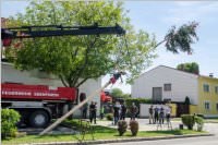 Maibaum der FF Neufeld, 21.05.2016