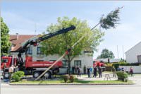 Maibaum der FF Neufeld, 21.05.2016