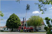 Maibaum der FF Neufeld, 21.05.2016