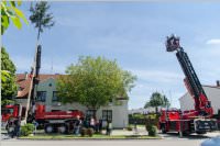 Maibaum der FF Neufeld, 21.05.2016