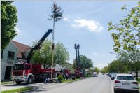 Maibaum der FF Neufeld, 21.05.2016