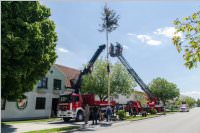 Maibaum der FF Neufeld, 21.05.2016