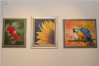 Herbstausstellung vom K�nstlerverein Neufeld, 18.09.2015