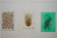 Herbstausstellung vom K�nstlerverein Neufeld, 18.09.2015