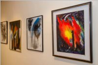 Herbstausstellung vom K�nstlerverein Neufeld, 23.09.2016