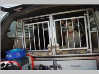 Erdbeben�bung mit Pflegeheimevakuierung in Neufeld, 22.06.2013