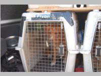 Erdbeben�bung mit Pflegeheimevakuierung in Neufeld, 22.06.2013