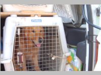 Erdbeben�bung mit Pflegeheimevakuierung in Neufeld, 22.06.2013