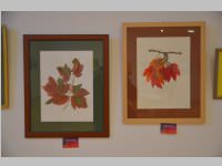 Fr�hjahrsausstellung vom K�nstlerverein Neufeld, 24.05.2013