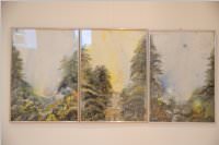 Fr�hjahrsausstellung vom K�nstlerverein Neufeld, 15.05.2015