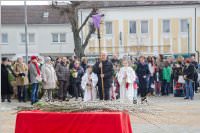 Palmzweigsegnung in Neufeld, 29.03.2015
