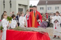 Palmzweigsegnung in Neufeld, 29.03.2015