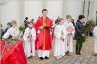 Palmzweigsegnung in Neufeld, 29.03.2015