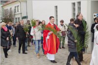 Palmzweigsegnung in Neufeld, 29.03.2015