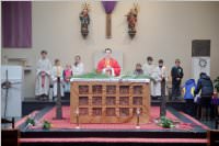 Palmzweigsegnung in Neufeld, 29.03.2015