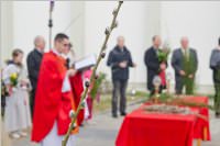 Palmzweigsegnung in Neufeld, 20.03.2016