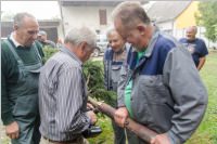 Kirtagbaum der Ratschen Buam, 01.10.2016