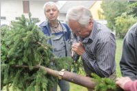 Kirtagbaum der Ratschen Buam, 01.10.2016