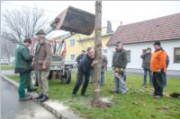 Kirtagbaum der Ratschen Buam, 11.11.2016