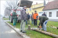 Kirtagbaum der Ratschen Buam, 11.11.2016