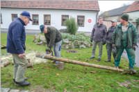 Kirtagbaum der Ratschen Buam, 11.11.2016